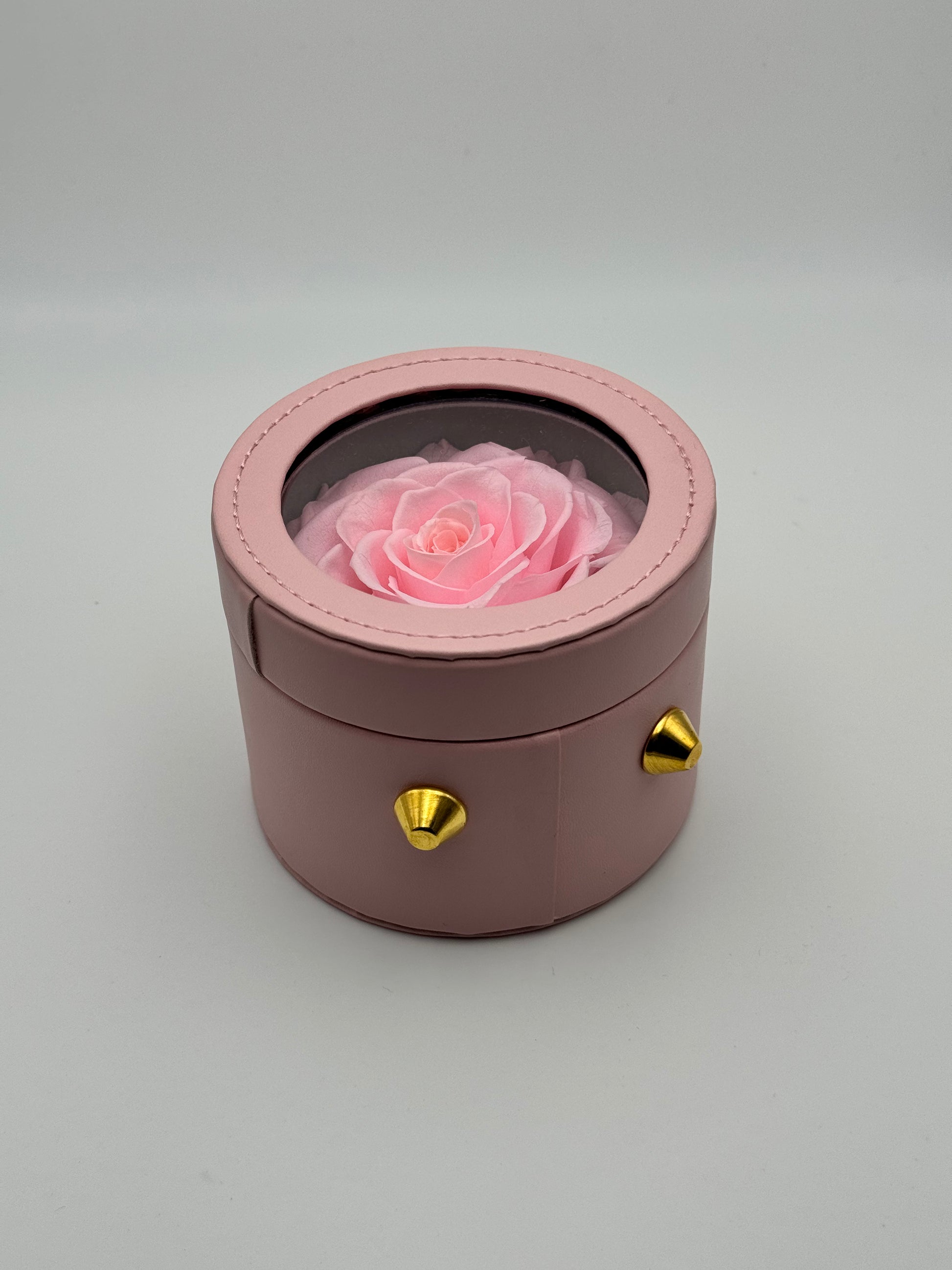 Rose éternelle rose en cercle