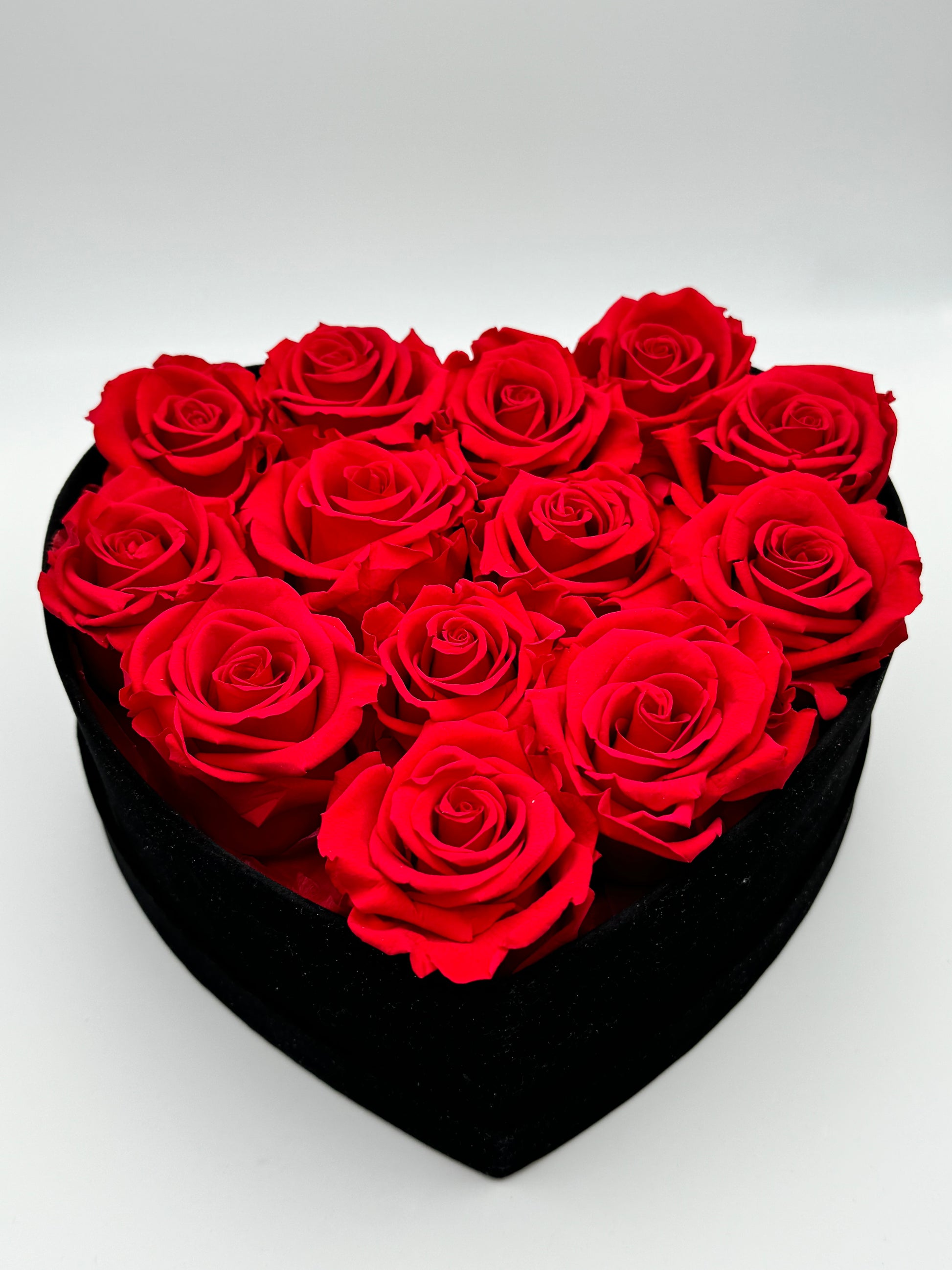 Roses rouge en cœur noir - Velours