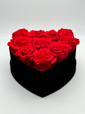 Roses rouge en cœur noir - Velours