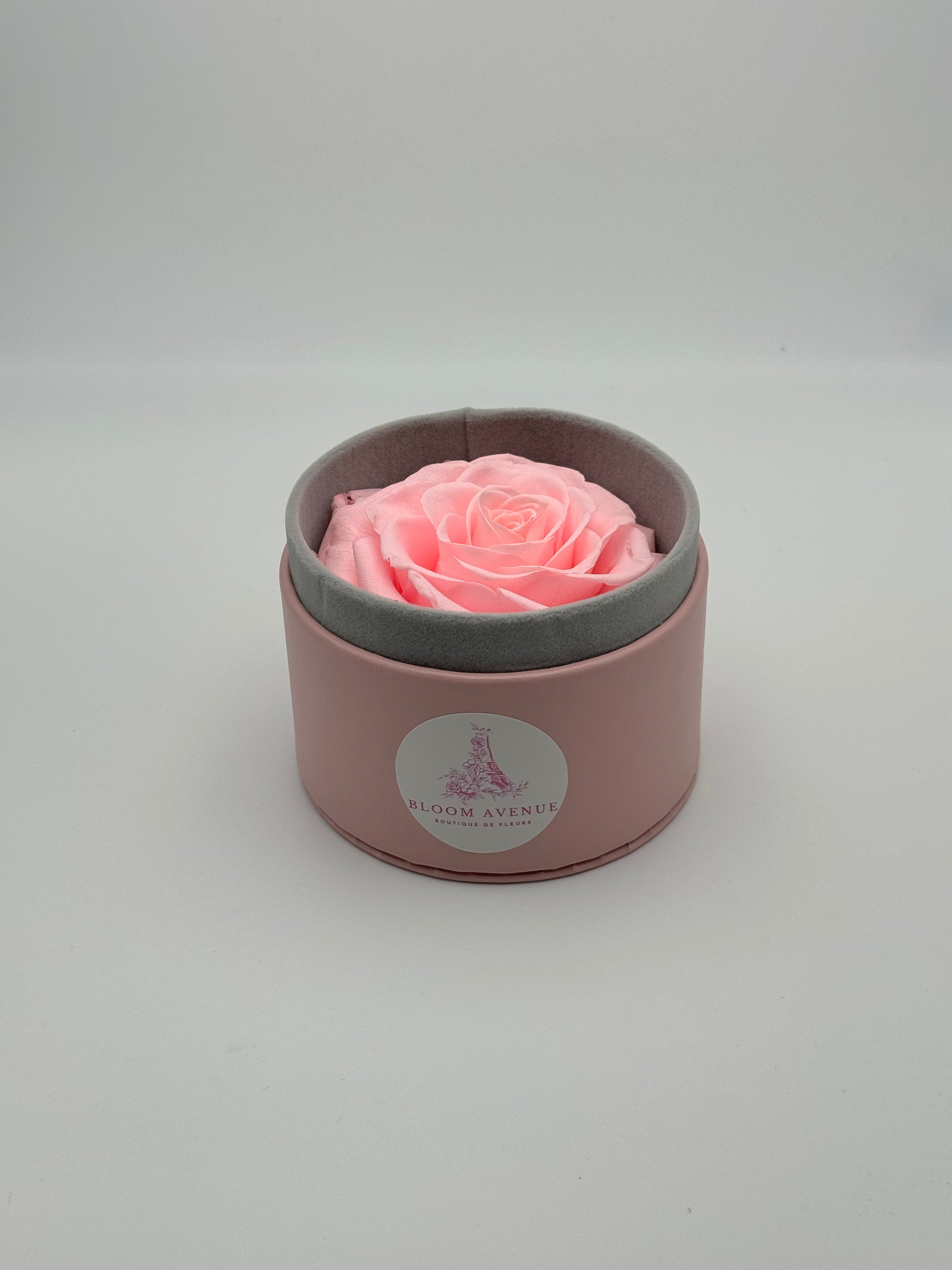 Rose éternelle rose en cercle