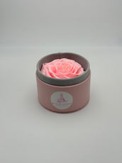 Rose éternelle rose en cercle