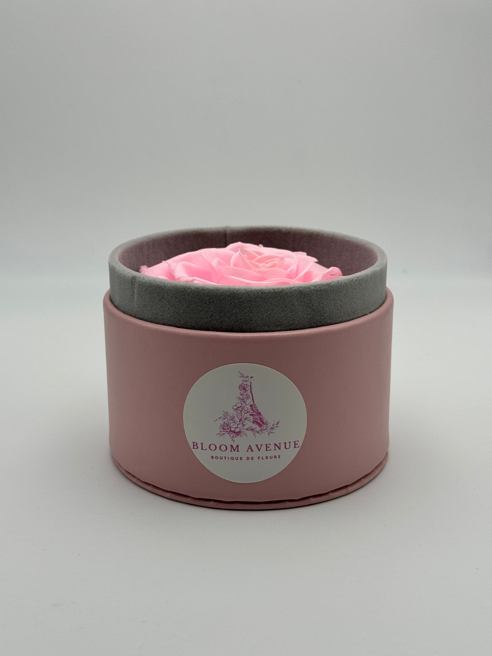 Rose éternelle rose en cercle