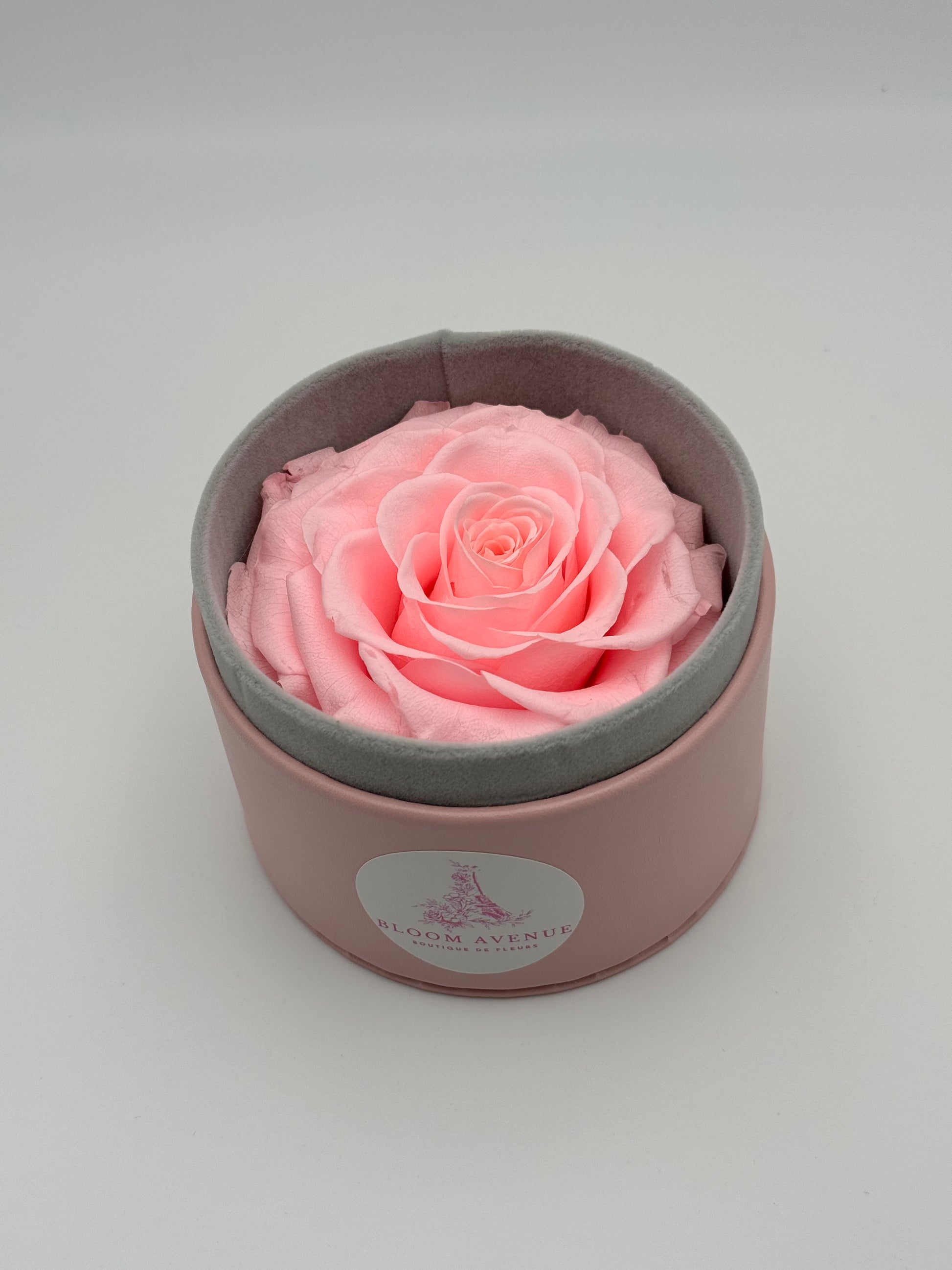 Rose éternelle rose en cercle
