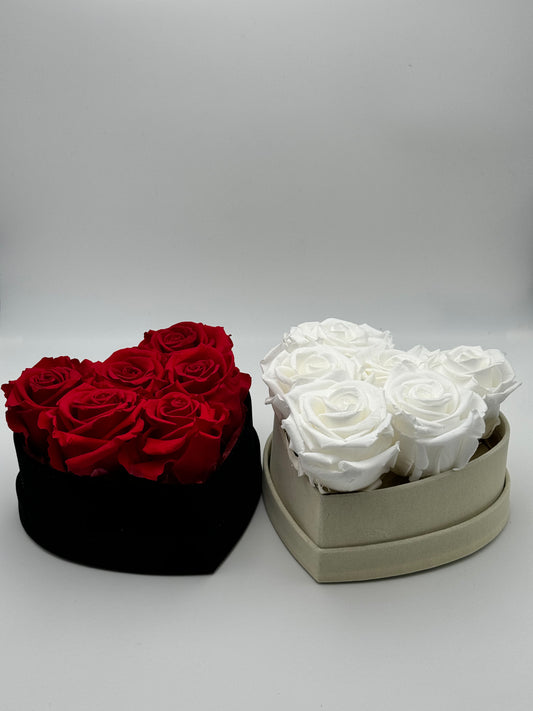 Roses rouges et blanches en cœur - duo - Velours