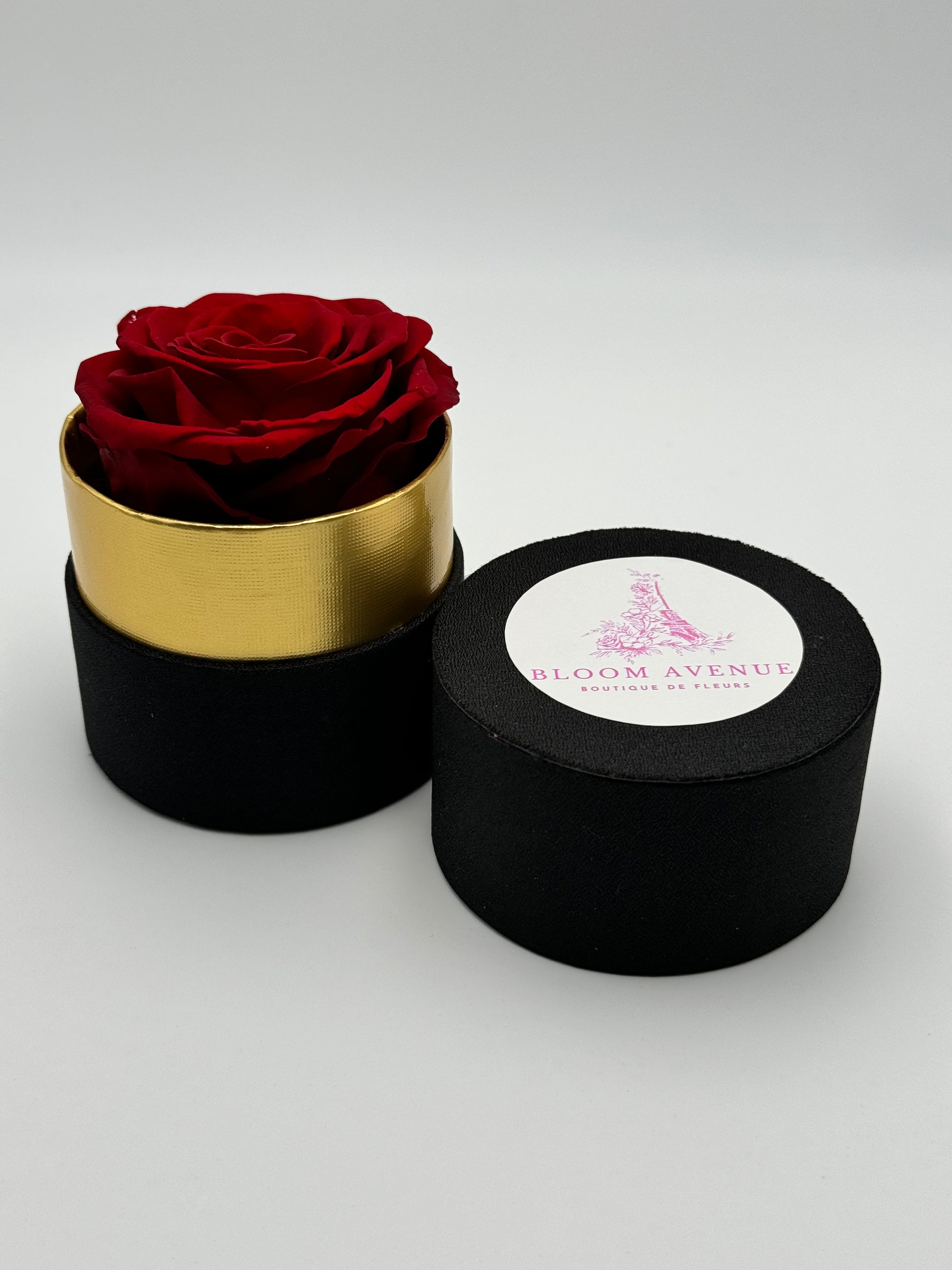 Rose éternelle rouge écarlate en cercle