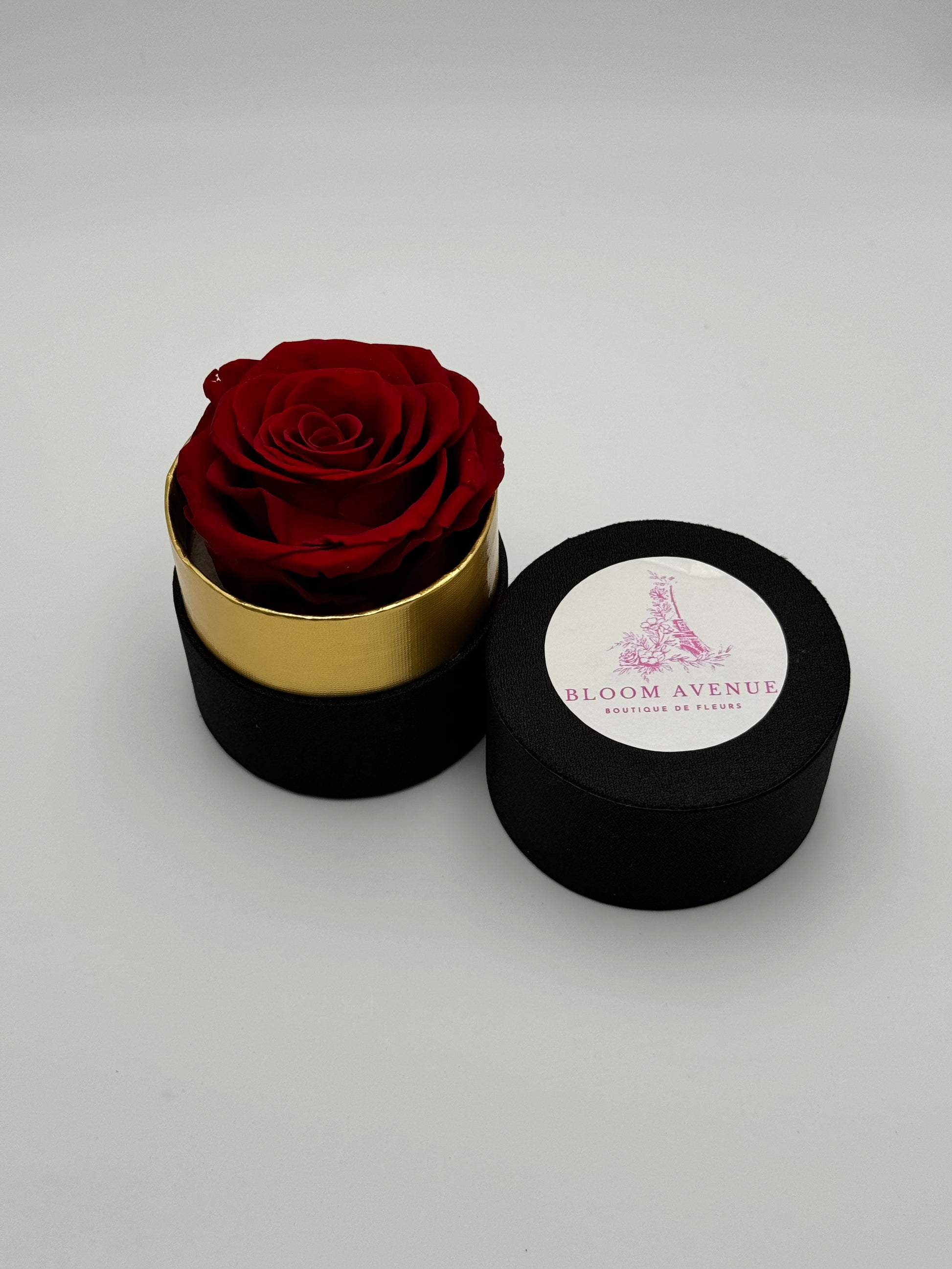 Rose éternelle rouge écarlate en cercle