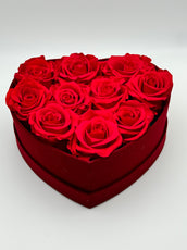 Roses rouge en cœur rouge - Velours