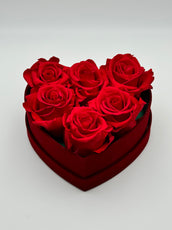 Roses rouge en cœur rouge - Velours
