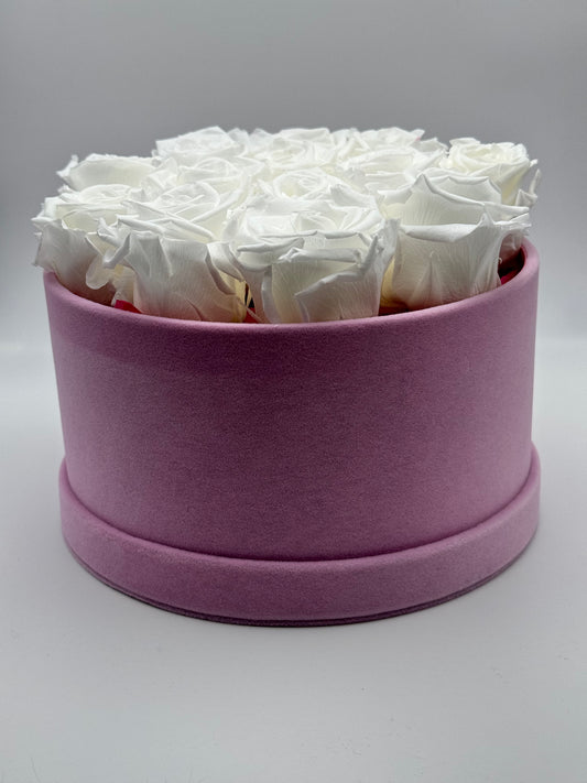Roses éternelles blanches en cercle rose - Velours