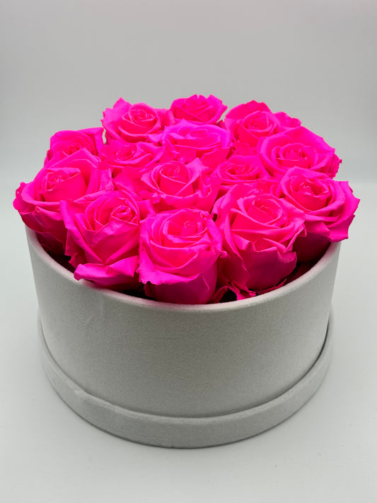 Roses éternelles Fuchsia en cercle gris - Velours