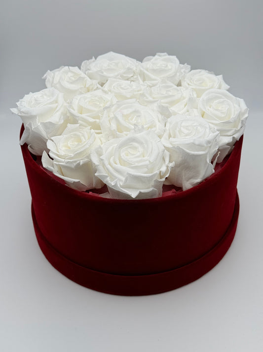 Roses éternelles blanches en cercle rouge