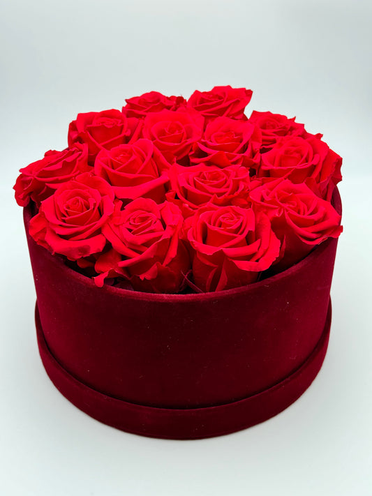 Roses éternelles rouges en cercle rouge - Velours