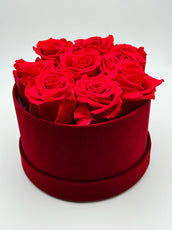 Roses éternelles rouges cercle rouge - Velours