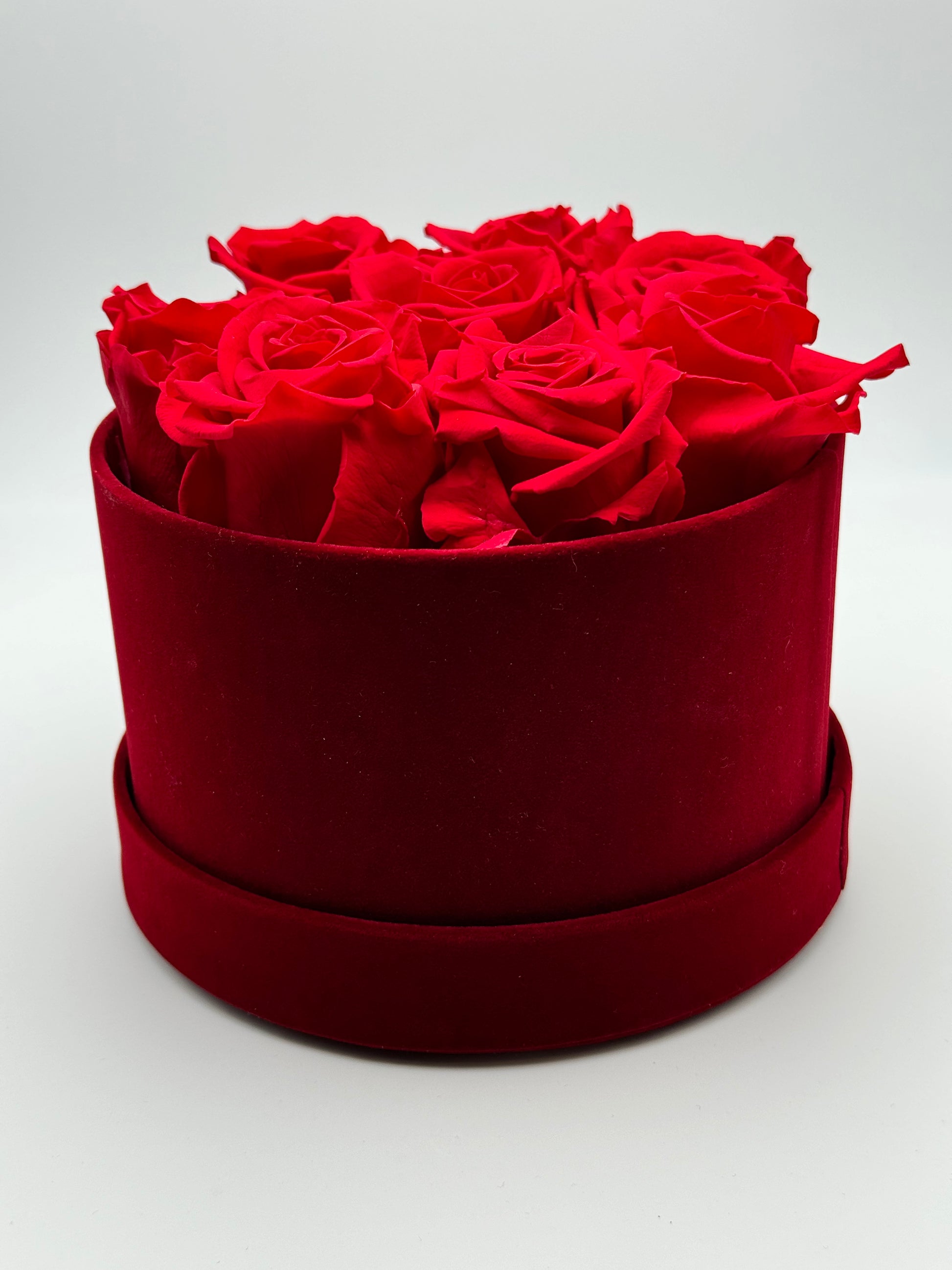 Roses éternelles rouges cercle rouge - Velours