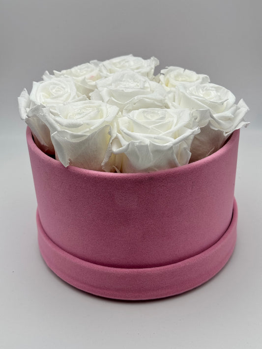 Roses éternelles blanches cercle rose - Velours