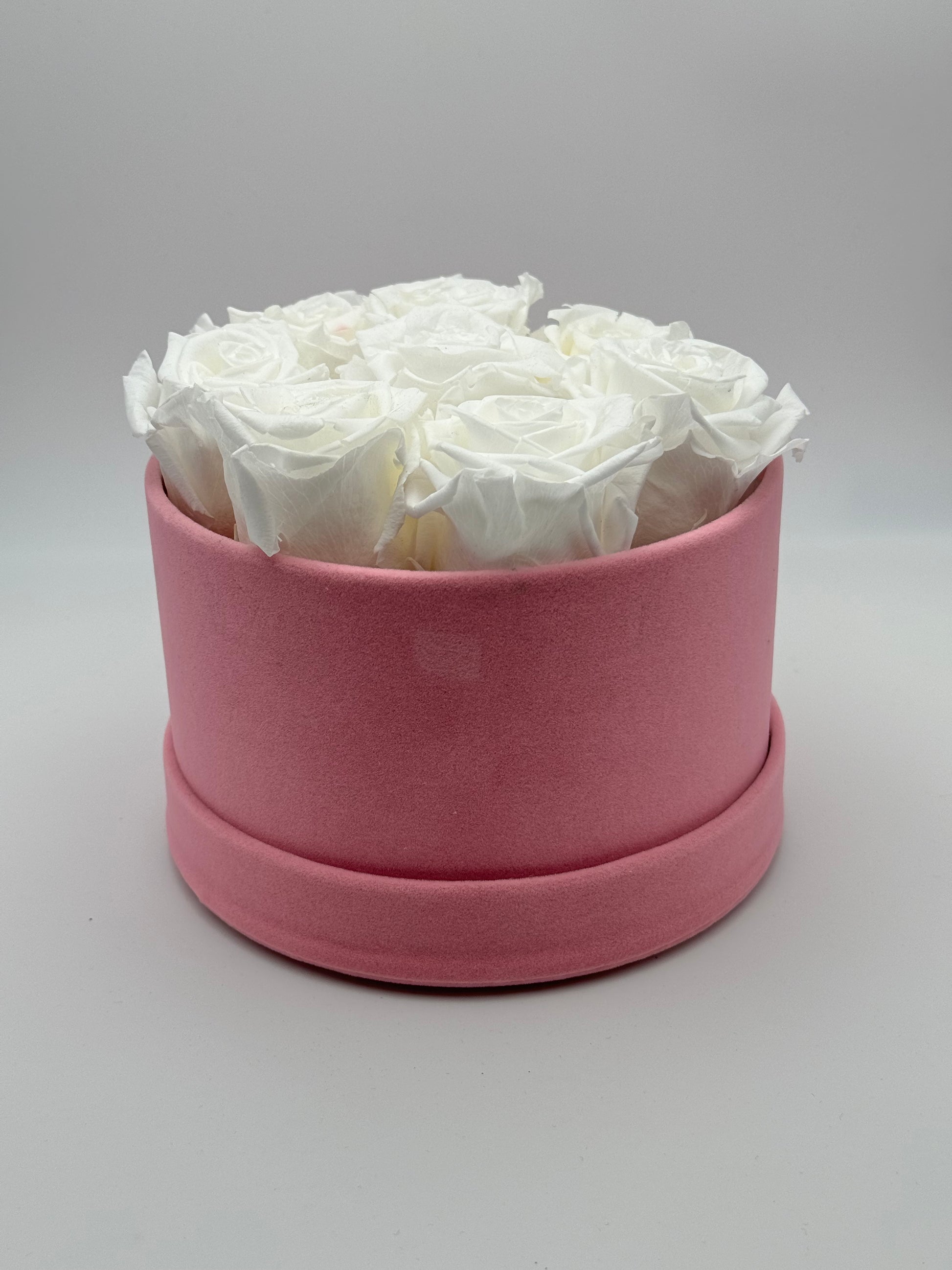 Roses éternelles blanches cercle rose - Velours